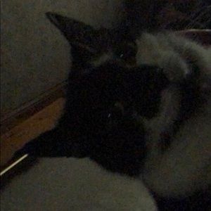 Meet your Posher, Kena